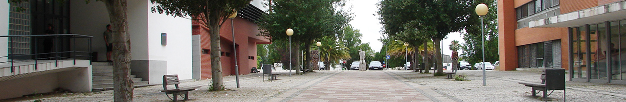 Mestrado (2º ciclo) em Estruturas e Geotecnia